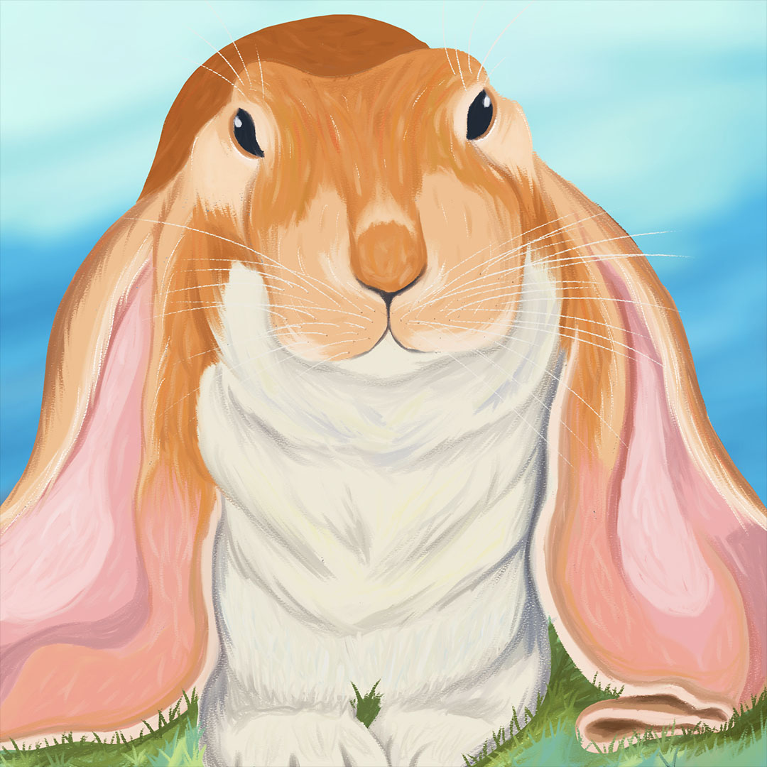 An orange and white long-eared bunny rabbit digitally painted.