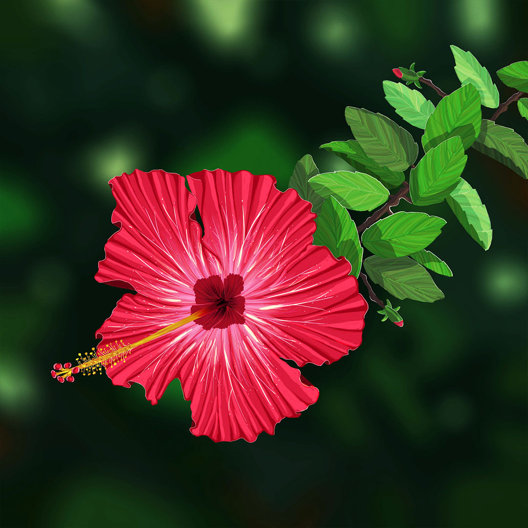 There is a multi-tone red flower with a long yellow and red stamen. It sits at the end of a branch of serrated green leaves. The background is blurred.