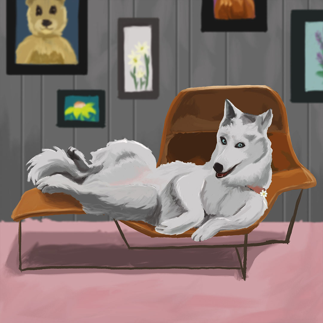 Daisy the husky is lounging on an orange sofa in her own room.