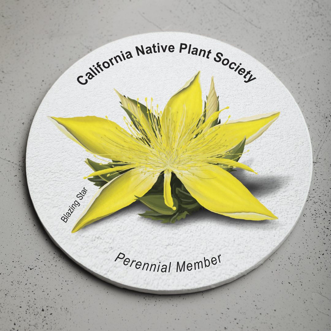 A coaster that I created for the California Native Plant Society. It features a Blazing Star.