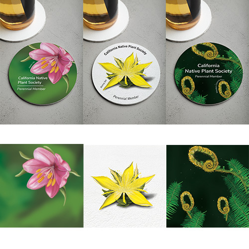 California Native Plant Society coasters created by Kara Israel owner of TalaKamora Design